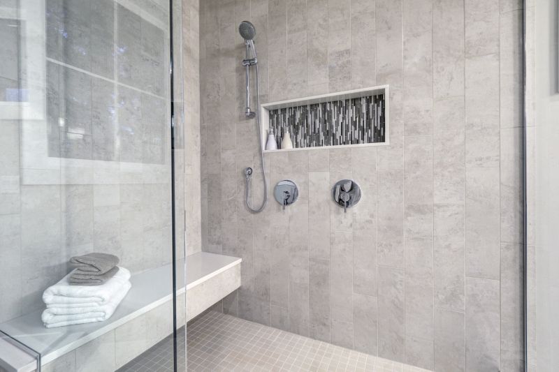 Modern Shower with Multi-Function Head